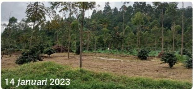 Kegiatan 2